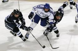 开云体育APP下载-绿茵上的烈焰，德约科维奇以温网横扫之名，点燃蒙特卡洛大师赛的灰烬