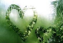 开云体育官网-田径比赛现场：选手燃情出击，风云变幻