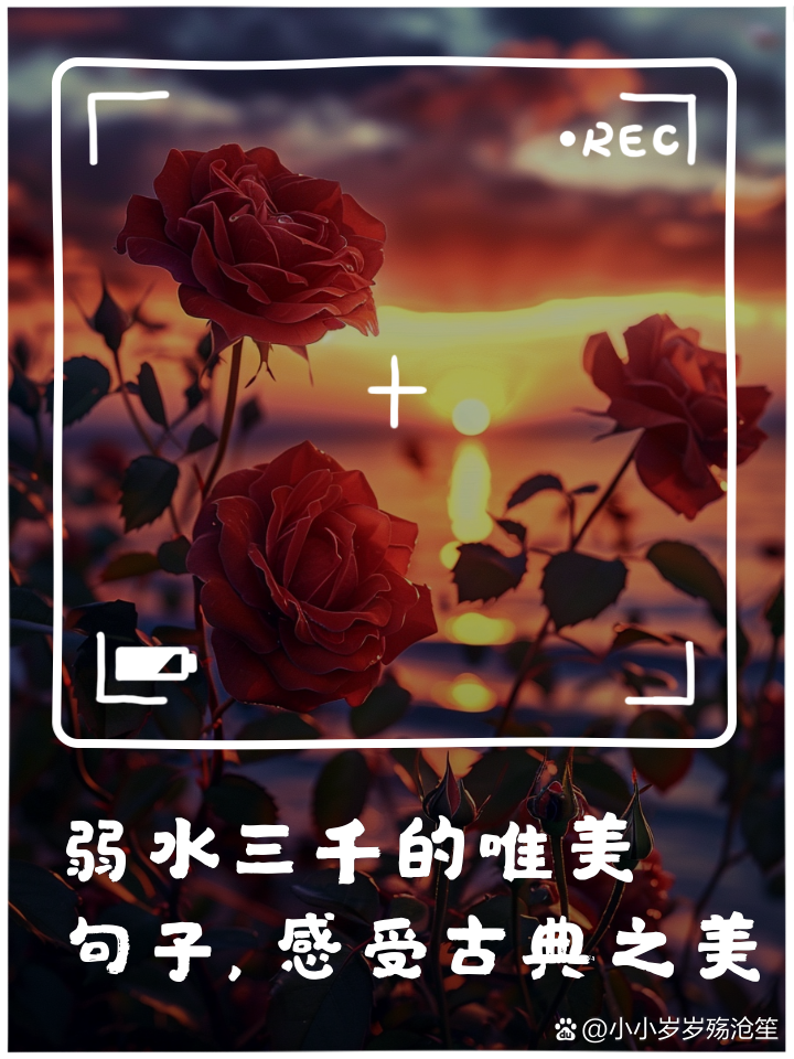关于弱水三千，只取一壶伟大一刻烙铭世界的信息