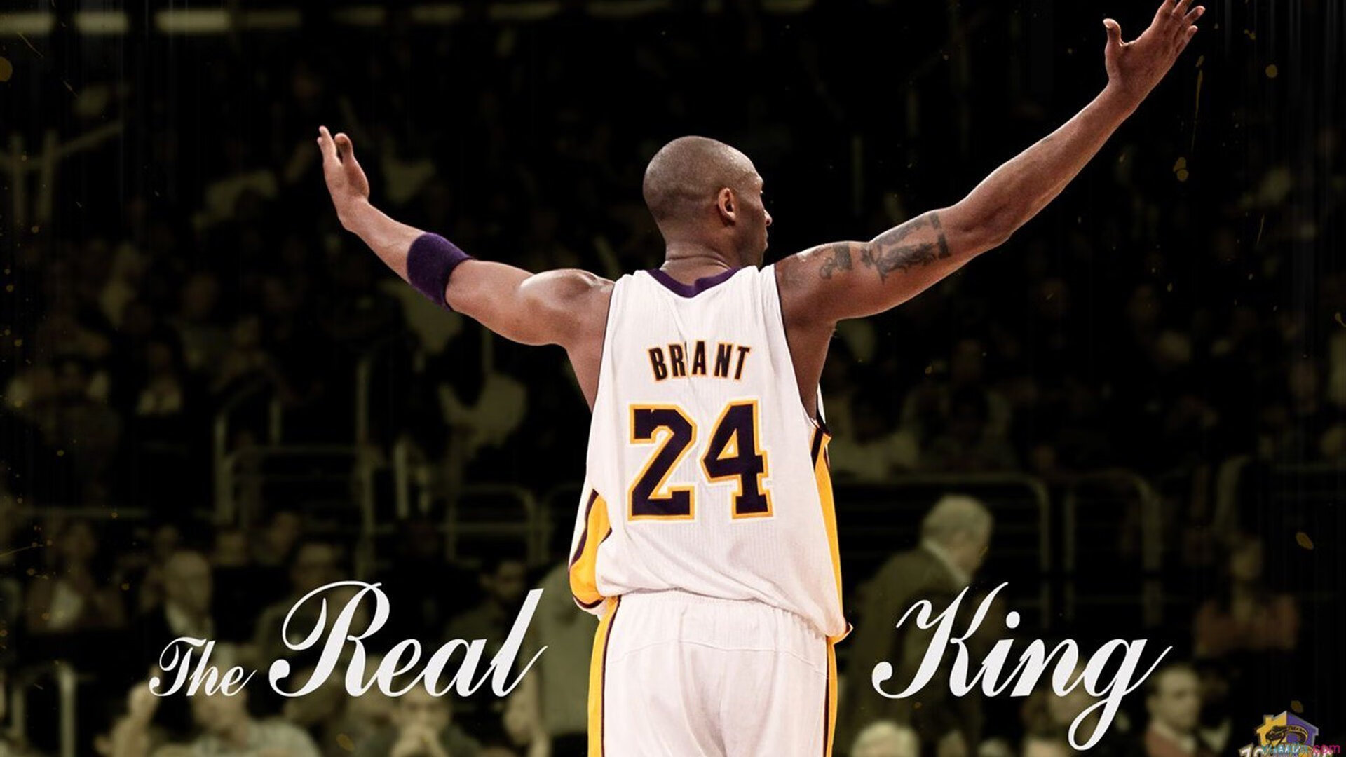 极速之战，从F1揭幕战的轮胎焦香到威尔士的绿茵风暴