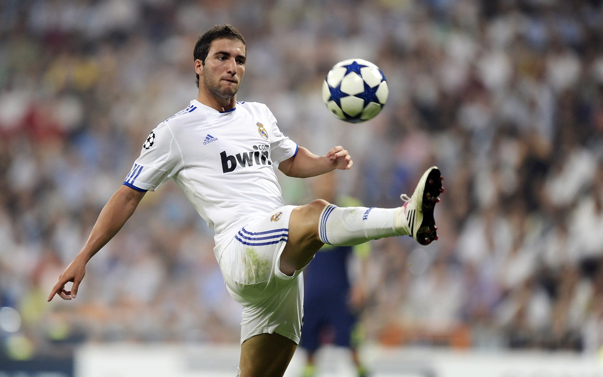 唯一性的诠释，红牛车队碾压索伯与维斯塔潘刷新纪录的传奇